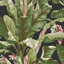 York Premium AT7071 Banana Leaf Wallpaper, Black & Red | Red | Black Red | 5.65m² | 1