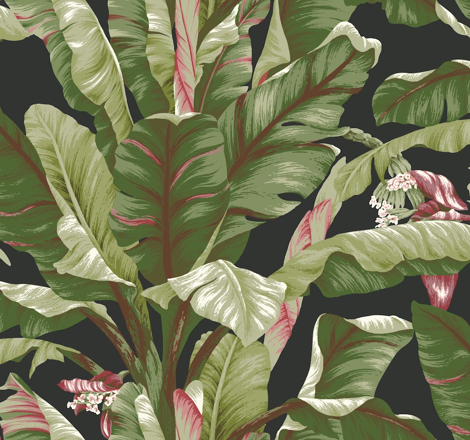 image 1 of York Premium AT7071 Banana Leaf Wallpaper, Black & Red | Red | Black Red | 5.65m² | 1