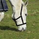 image 3 of Rhinegold Field Safe Headcollar Black | Size: Shetland Pony
Colour: Black