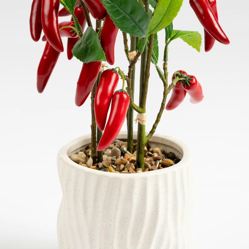 image 1 of 49Cm Chilli Plant In Ceramic Pot Green | One Size