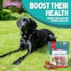 image 5 of 20pk Small Collagen Chewy Knots Beef, 5cm Dog Chews Treats, High Protein Puppy Snacks, Dental Health & Boredom Breaker