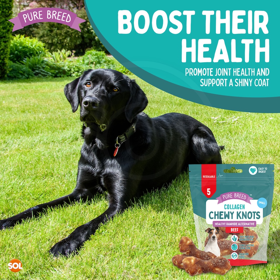 image 1 of 20pk Small Collagen Chewy Knots Beef, 5cm Dog Chews Treats, High Protein Puppy Snacks, Dental Health & Boredom Breaker