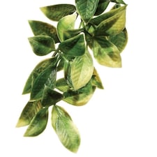 Exo Terra Plastic Mandarin Shrub - Large