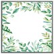 image 1 of Light botanical leaves (Picture Frame) Grey | L