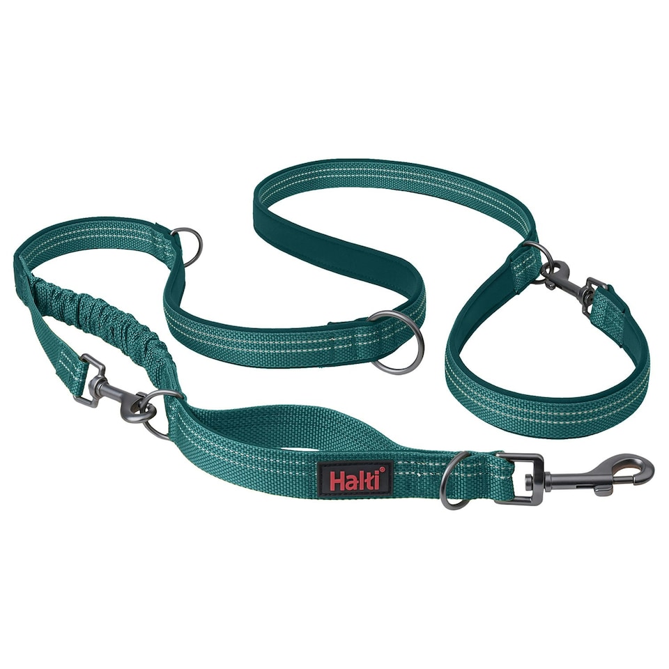 Halti Anatomy Dog Lead - Teal - L