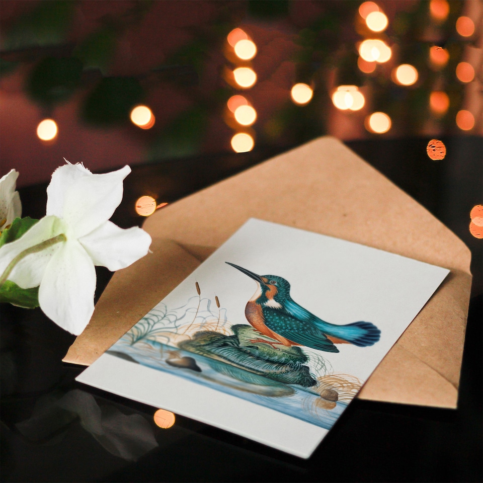 image 1 of James Bolton Art Card Common Kingfisher Vintage Illustration