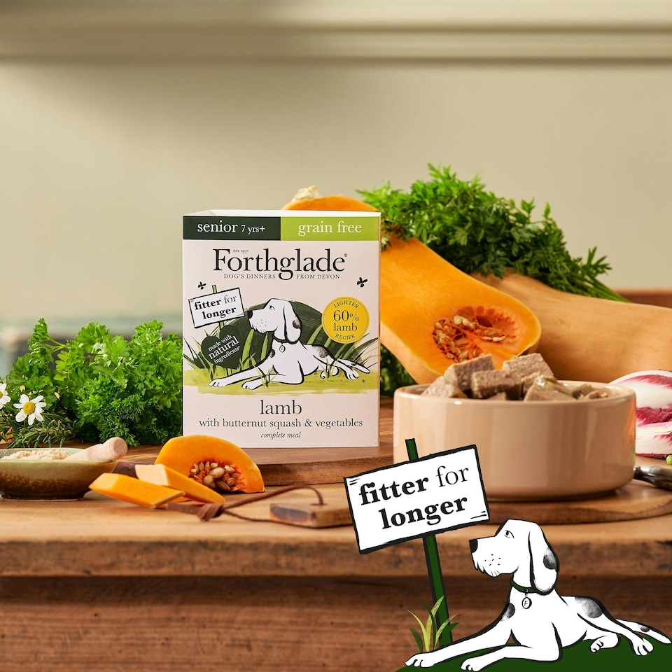 image 1 of Senior Lamb & Butternut Squash Wet Dog Food (18x395g)
