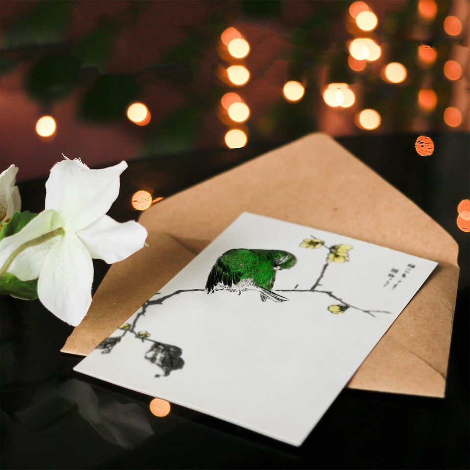 image 1 of Numata Kashu Art Card Fairy Pitta and Japanese Allspice