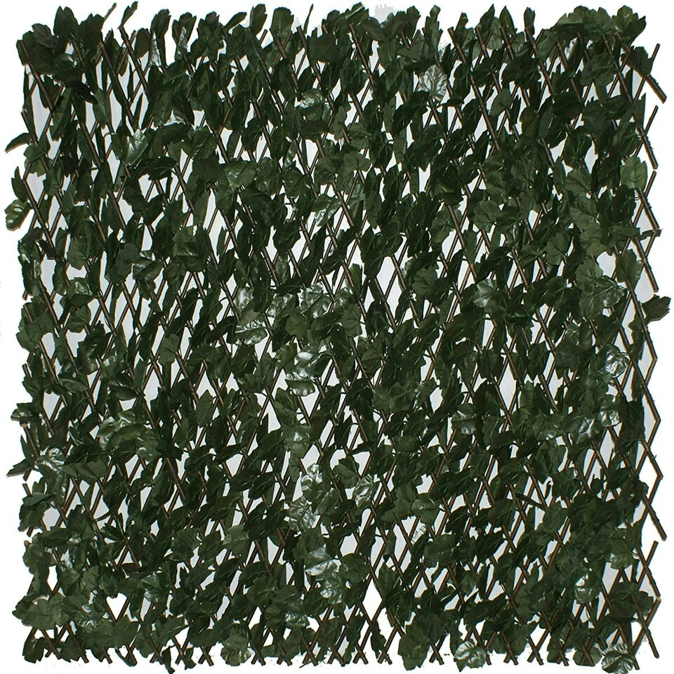 image 1 of Primrose Extendable Artificial English Ivy Garden Privacy Screening 2m x 1m
