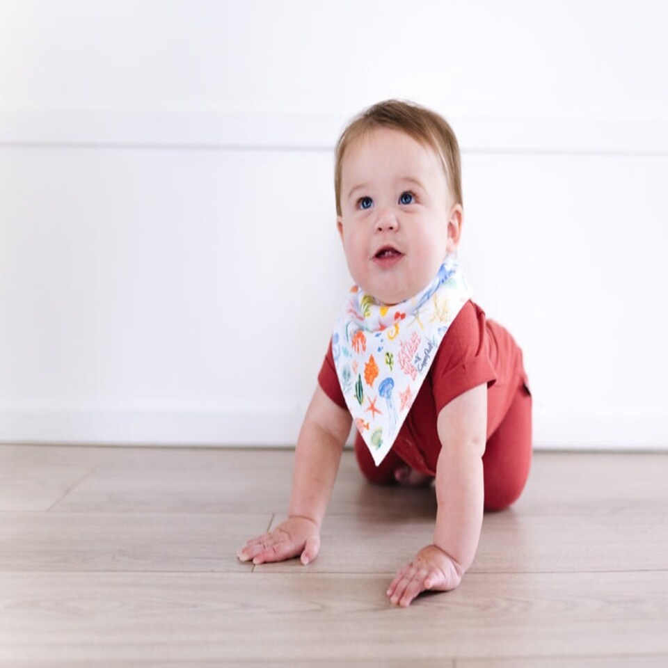 image 1 of Copper Pearl Bibs Nautical 4Pk