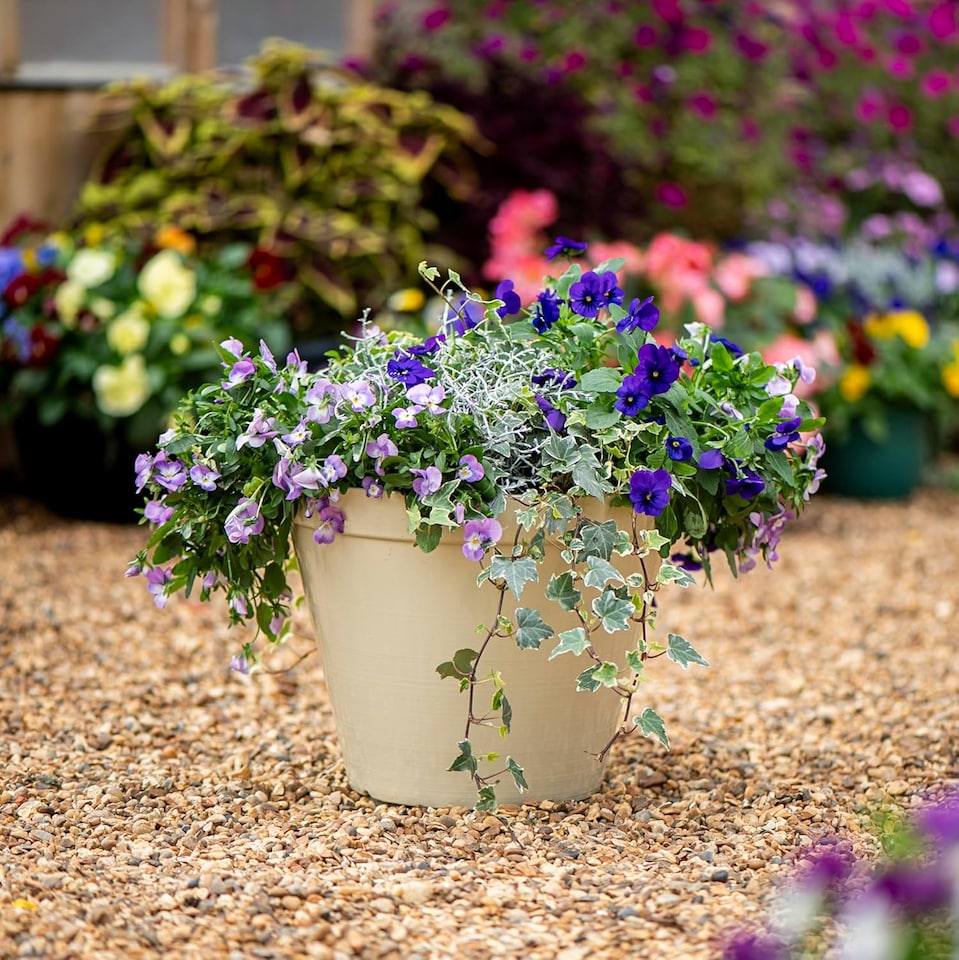image 1 of Lindos Glazed Effect Planter Stone (D33 x H25.5cm) x 2 | Cream | 2