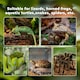 image 6 of PawHut Glass Reptile Terrarium Habitats for Lizards, Frogs, Snake 30 x 30 x 20cm