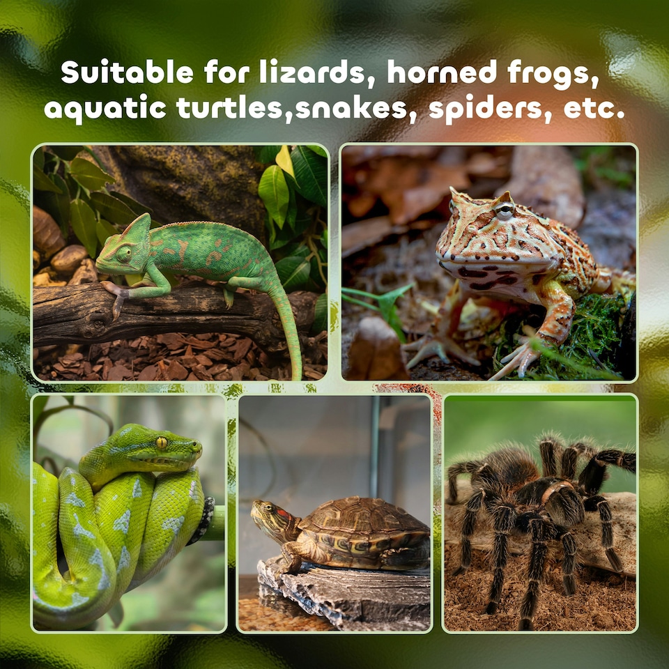 image 1 of PawHut Glass Reptile Terrarium Habitats for Lizards, Frogs, Snake 30 x 30 x 20cm