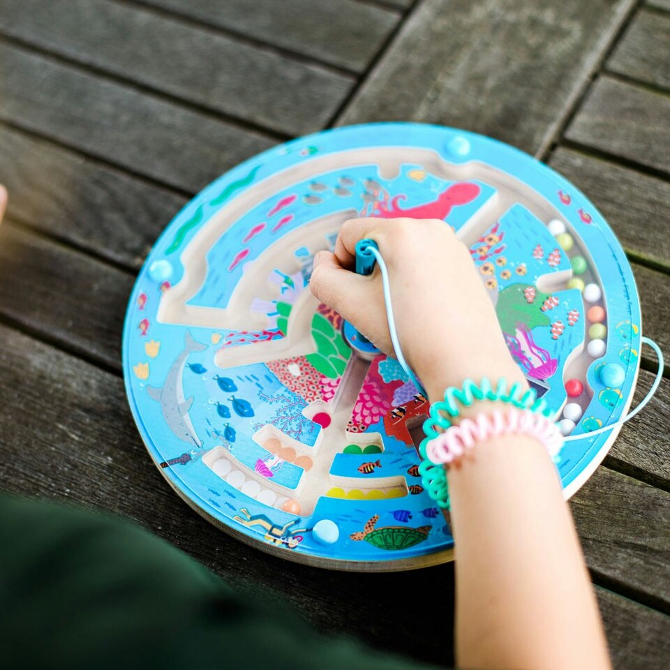 image 1 of Aquatic Maze Puzzle