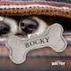 image 2 of History & Heraldry Pre-Personalised Squeaky Bone Dog Toy - Rocky