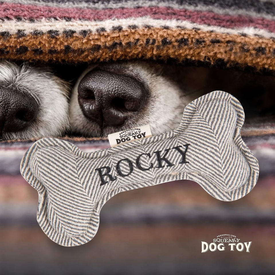image 1 of History & Heraldry Pre-Personalised Squeaky Bone Dog Toy - Rocky