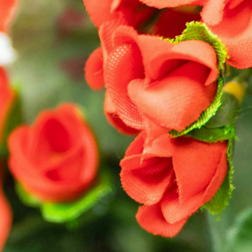 image 1 of Primrose Artificial Geranium Flowers Rattan Hanging Basket in Red 30cm