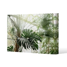 Green plants in botanical garde (Canvas Print) 127 x 101 x 4cm
