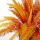 image 4 of 6 x 55cm Artificial Autumn Fern Bush Plant