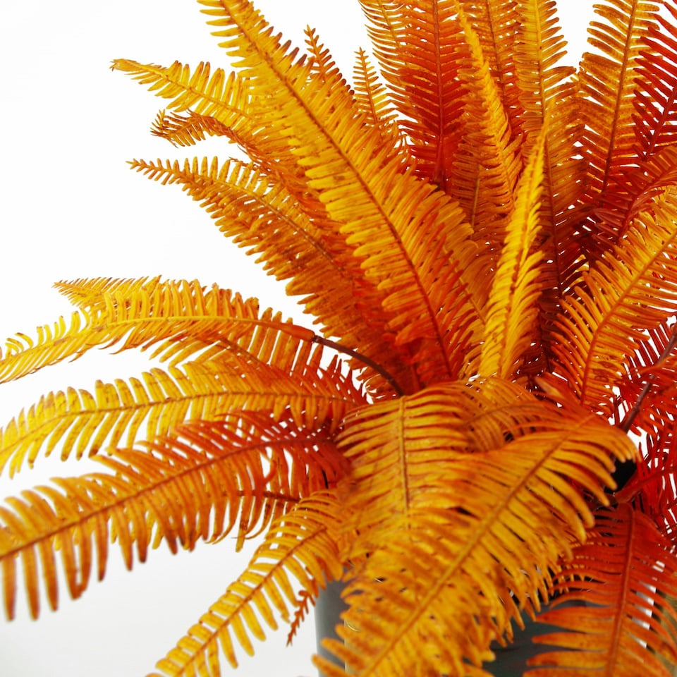 image 1 of 6 x 55cm Artificial Autumn Fern Bush Plant