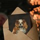 image 3 of Edouard Manet Art Card A King Charles Spaniel Dog