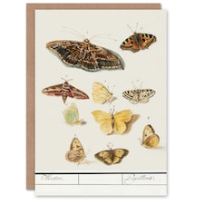 Anselmus de Boodt Art Card Butterflies and Moths Study