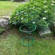 image 3 of Conical Metal Garden Herbaceous Plant Support Rings (48cm) - Pack of 5