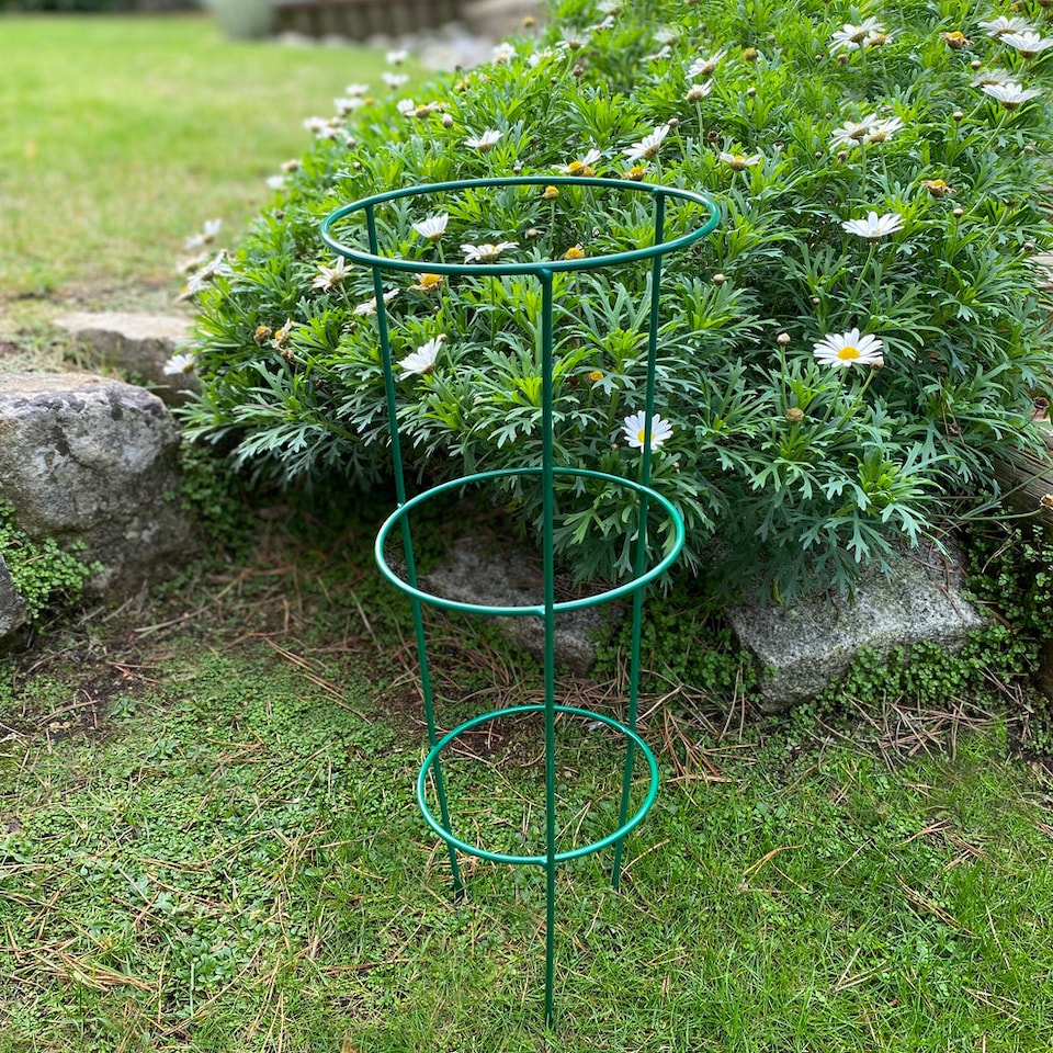 image 1 of Conical Metal Garden Herbaceous Plant Support Rings (48cm) - Pack of 5