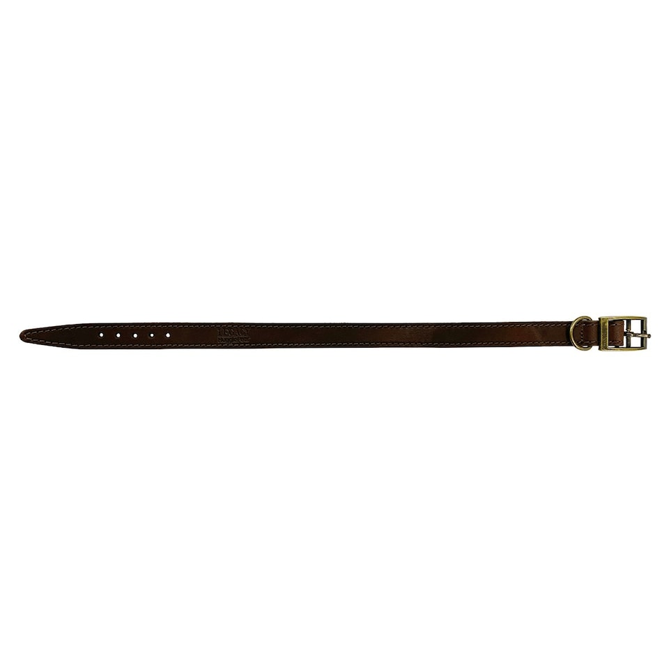 image 1 of HugglePets Legacy Leather Dog Collar - Chocolate Brown | M