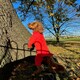 image 4 of Four Legged Dog Fleece - S / Coral Red | S