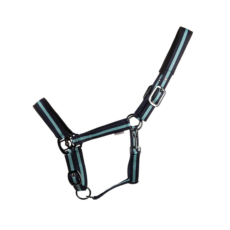 RIDDER Tappeto per Doccia Helgoland 54x54 cm Bianco e Blu