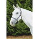 image 2 of Kincade Leather Rope Headcollar - Navy/Brown - Cob