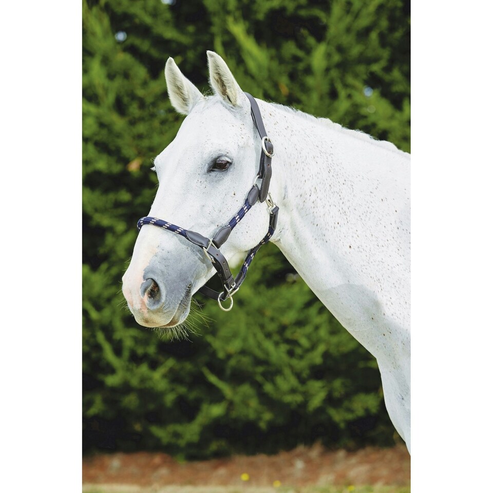 image 1 of Kincade Leather Rope Headcollar - Navy/Brown - Cob