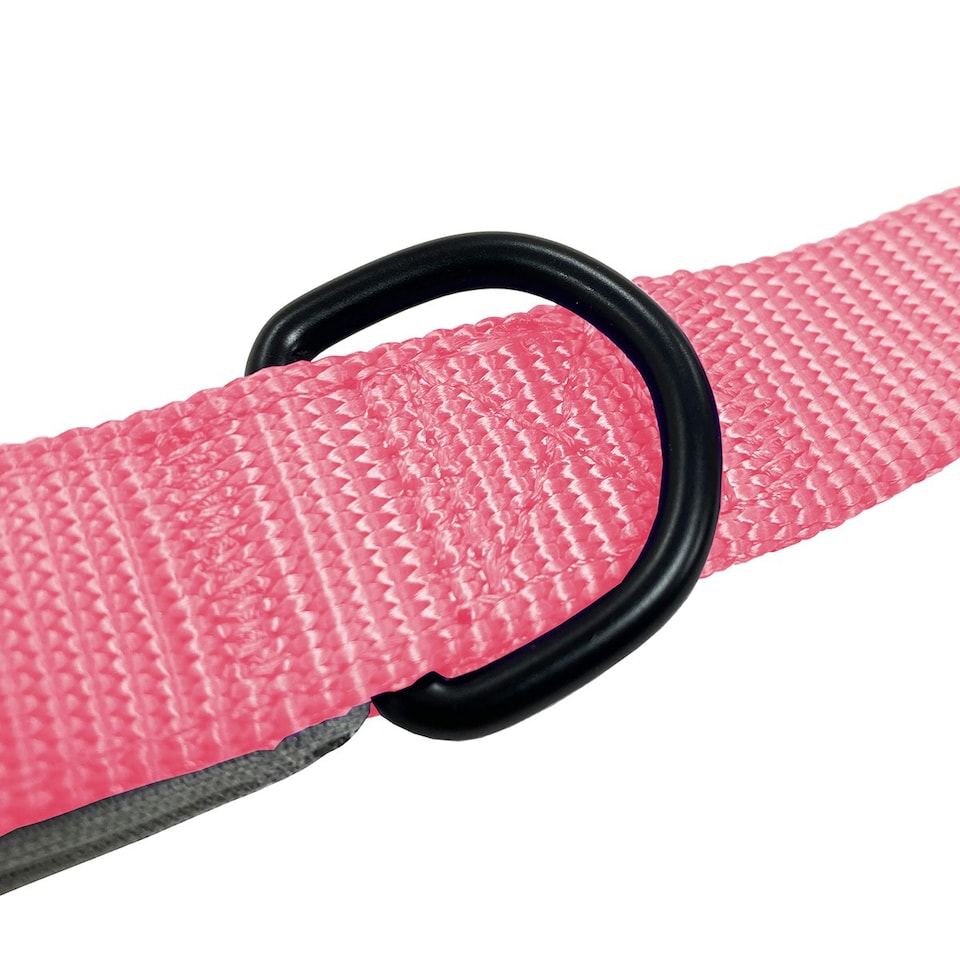 image 1 of HugglePets Padded Nylon Weatherproof Dog Lead Pink