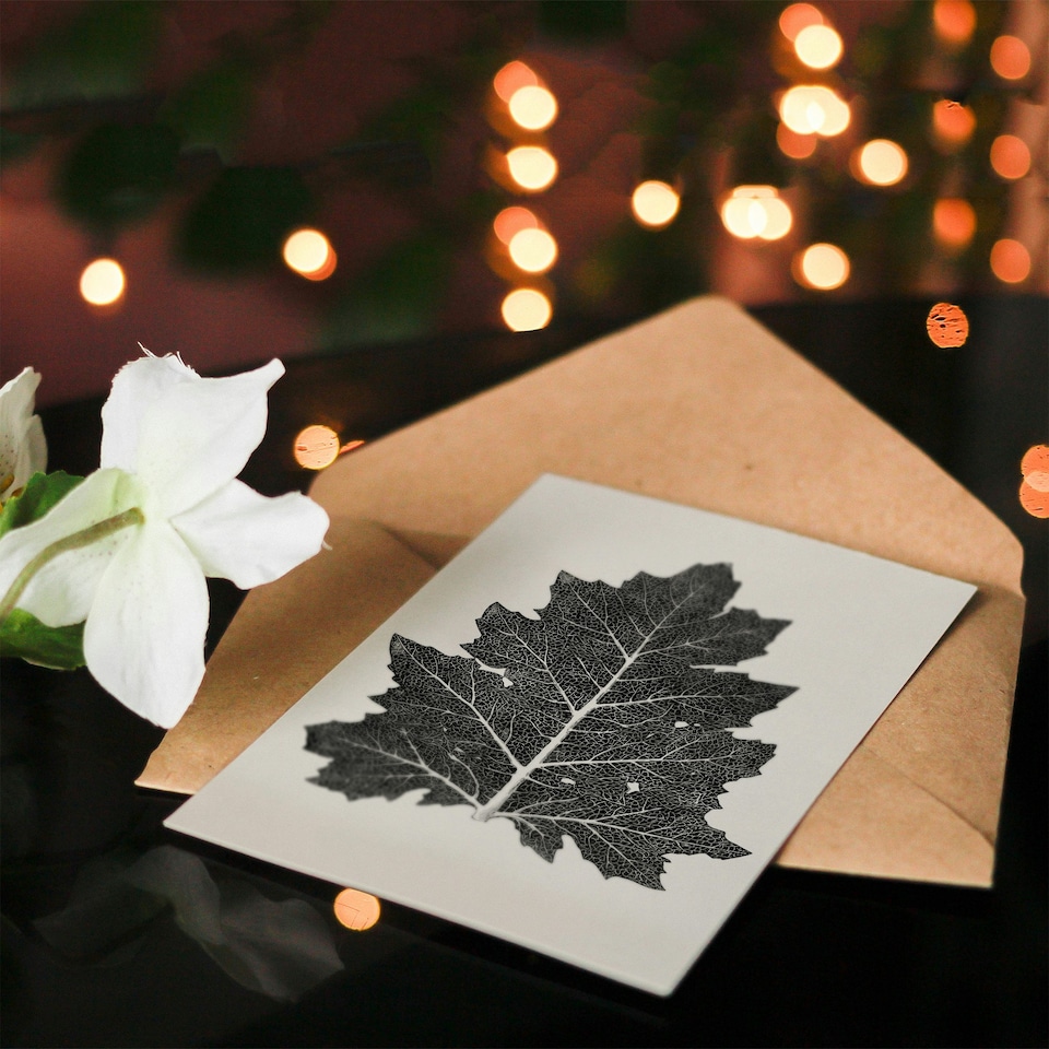 image 1 of Owen Jones Art Card Vintage Black and White Leaf Drawing