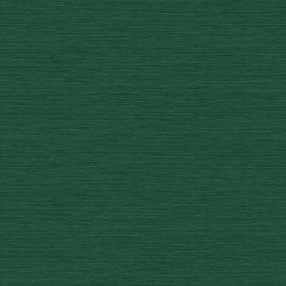 image 1 of Envy Stitch Please Jungle Wallpaper Green | Green