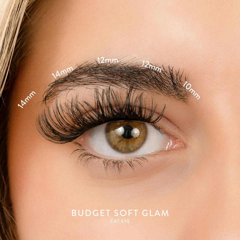 image 1 of House Of Amor - Eyelash Extensions - Budget Box "soft Glam" With Mini Bond -