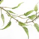image 2 of Artificial Hanging Trailing Plant Fern Plant