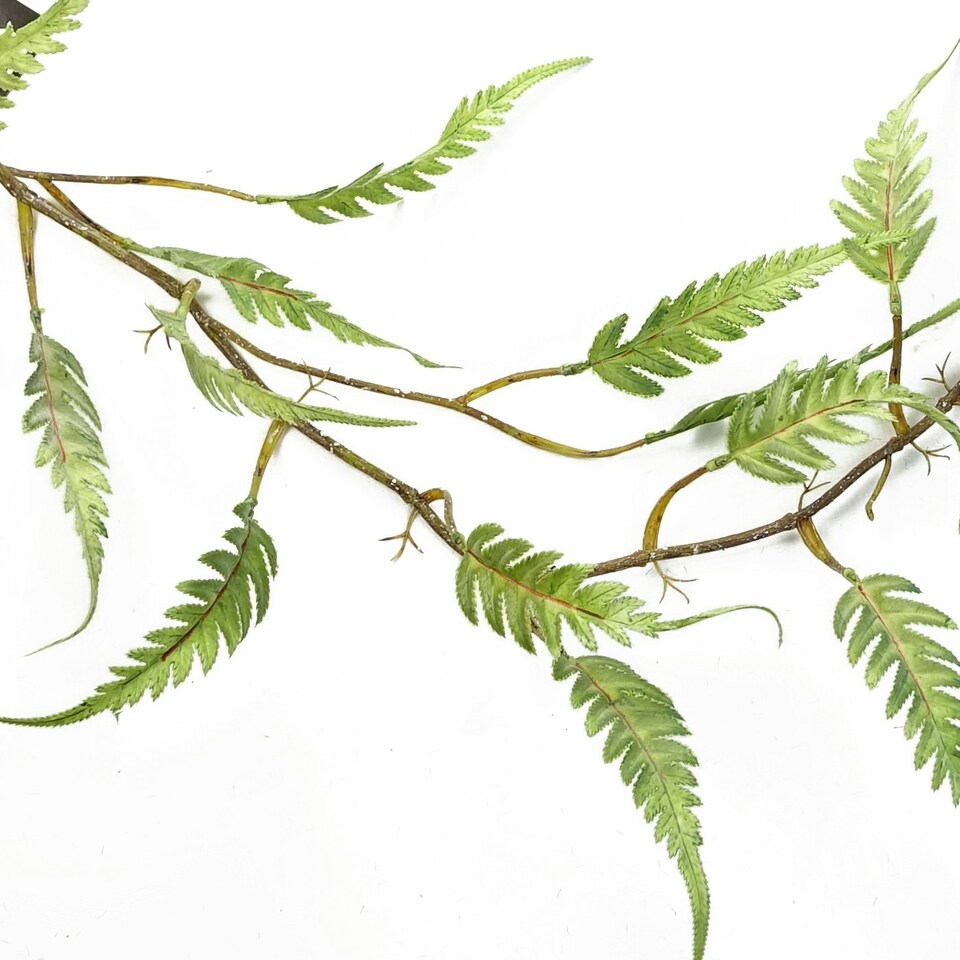 image 1 of Artificial Hanging Trailing Plant Fern Plant