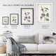 image 3 of Vintage Botanical Pustulata Leaves Hibberd Wall Art Poster Print