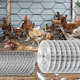 image 2 of Square Mesh Galvanised Garden Wire 600mm X 5m Chicken Fencing Wire Diy