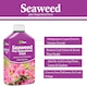 image 2 of Vitax Seaweed Plus with Sequestered Iron 500ml Liquid Fertiliser for Acid-Loving Plants Lawns & Garden Growth Tonic