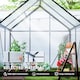 image 3 of Outsunny Polycarbonate Walk-in Garden Greenhouse w/ Sliding Door Grey | Grey | Grey | 1