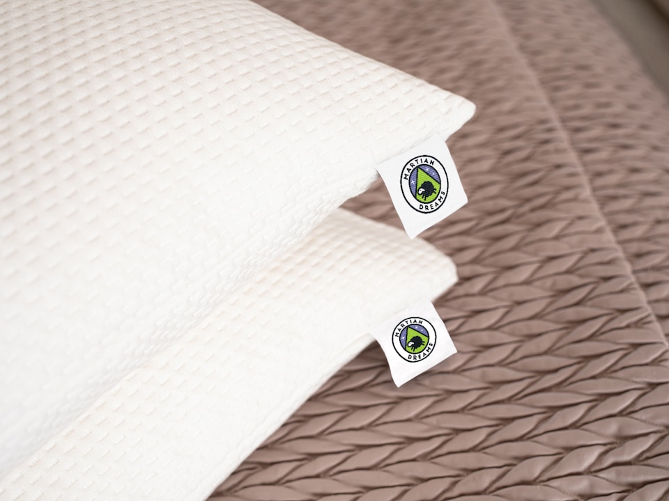 image 1 of Martian Dreams Waterproof Pillow Protector Superking Size 50x90cm