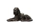 image 2 of Irish Setter Plant Pot Feet - Set of 3 - L5 x W5.5 x H12.5 cm | Brown