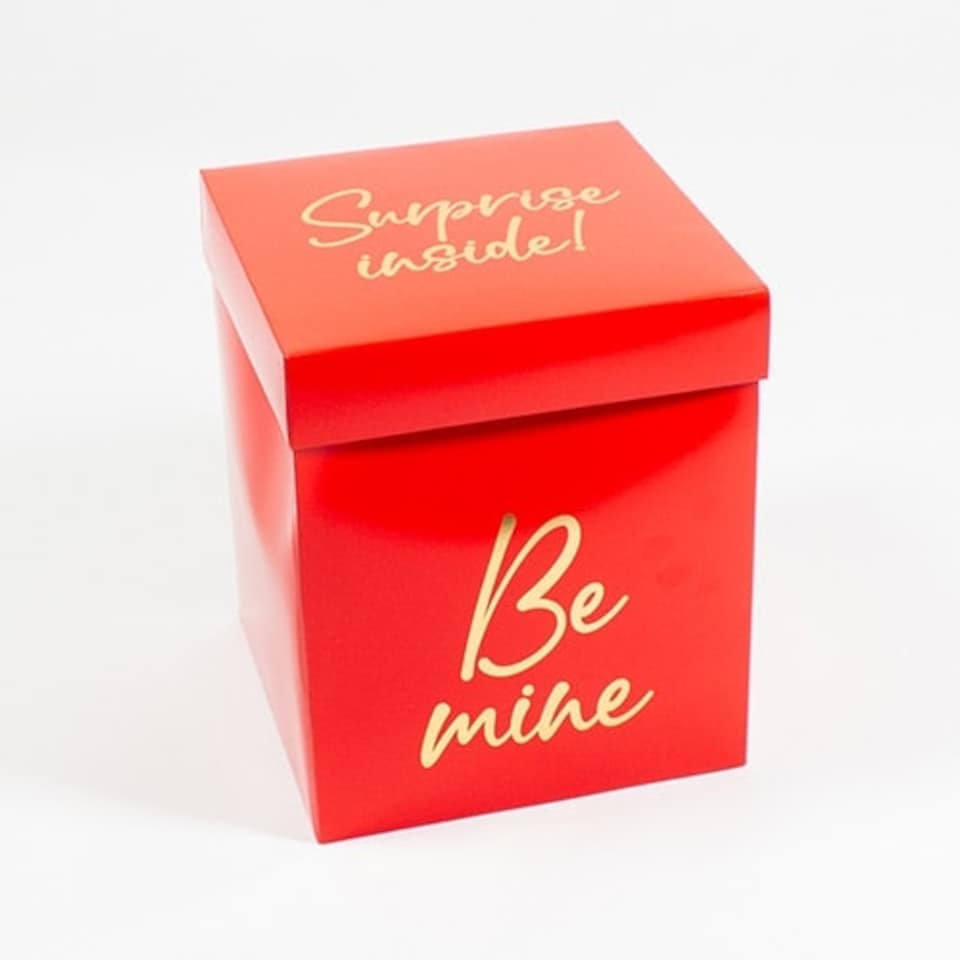 image 1 of Be Mine Surprise Balloon Valentine's Day Surprise in a Box Kit