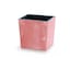 Terracotta & Set of 1