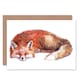 image 1 of Cute Red Fox Sleeping Bright Watercolour Painting Animal Greeting Card