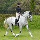 image 6 of Woof Wear Ivent Overreach Boot Black | Size: Large
Colour: Black/Steel