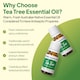 image 2 of Tea Tree Essential Oil - 2 x 10ml bottles
